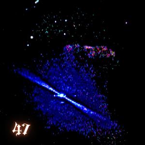 Stay In Cali (Explicit)