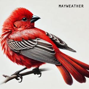 Take Back Everything