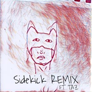 Sidekick (feat. Taz) (REMIX|Explicit)