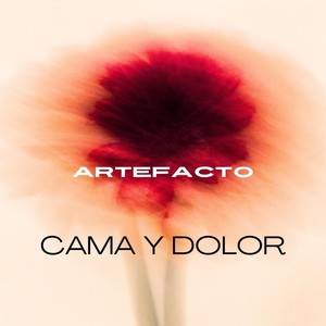 Cama y Dolor