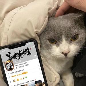 清新的小女孩