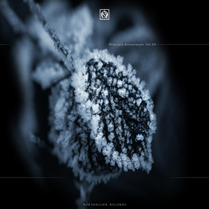 Depth (Original Mix)