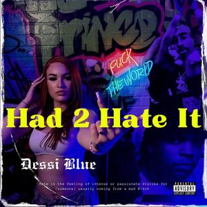 Had 2 Hate It (Explicit)