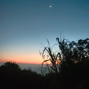 左转灯(DJ版)-沐轩哥哥