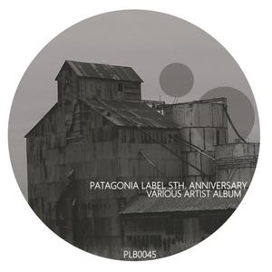 Patagonia Label 5th Anniversary