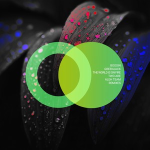 The World Is on Fire (Two Are Remix)