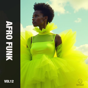 Afro Funk Vol 12