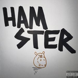 HAMSTER (Explicit)