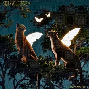 Footsteps on the trail