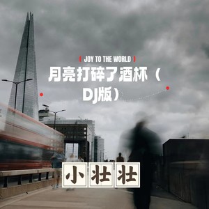 月亮打碎了酒杯 (DJ版)