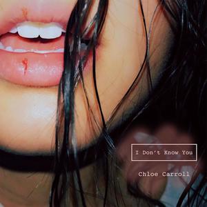 I Don't Know You (Explicit)