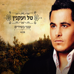 ענני בשירים