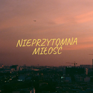 Nieprzytomna miłość