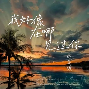 我好像在哪里见过你