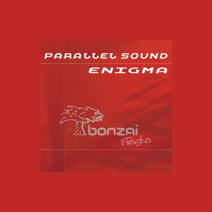 Enigma (Remix)
