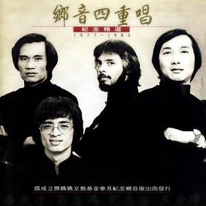 秋天的野菊花