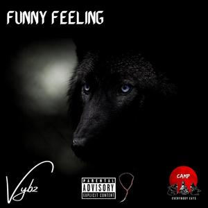 Funny Feeling (Explicit)