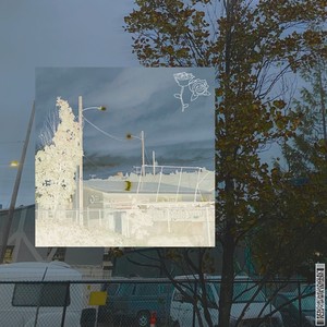 common courtesy (Explicit)