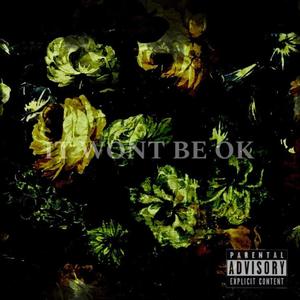 IT WONT BE OK (Explicit)