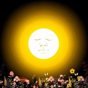 Sunlight, Moonshine (Explicit)