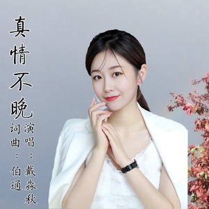 真情不晚 (伴奏)