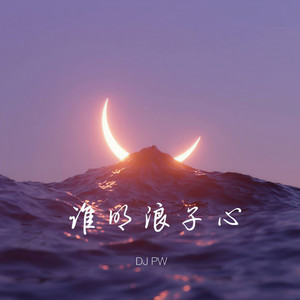 谁明浪子心 (纯音乐DJPW版)