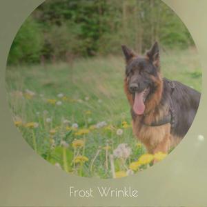 Frost Wrinkle