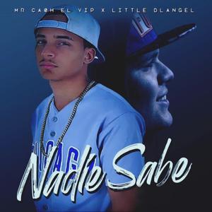 Nadie Sabe (feat. Little Blangel)