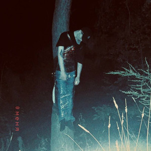 старое дерево (демо)