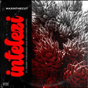 iNtelezi (feat. Zombie World Wide, Ceroc, Five.O & Slim Ego) (Explicit)