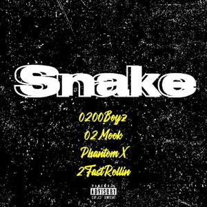 Snake (feat. 02Mook, PhantomX & 2FastRollin) (Explicit)