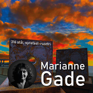 316 stål, syrefast-rustfri