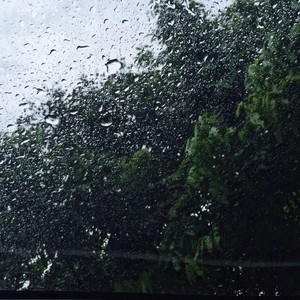 你那里下雨了吗