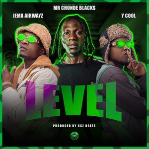 Level