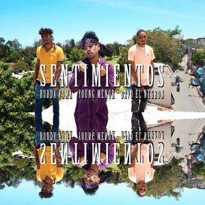 Sentimientos(feat. Davo El Negron, Young Menor & W.J.Money)