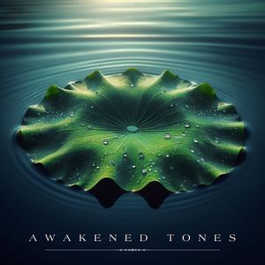 Awakened Tones (Reflections of Stillness)