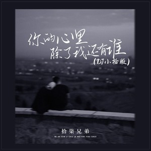 你的心里除了我还有谁 (DJ小拾版)封面