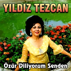 Özür Diliyorum Senden