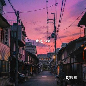 你应该很快乐 (DJ成总版)封面