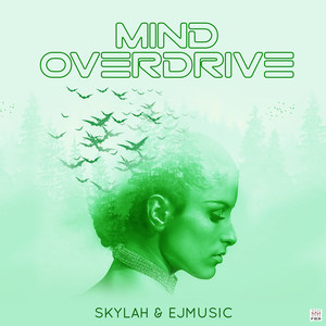 Mind Overdrive (Explicit)