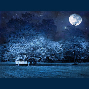 穿越时空的思念2 (口琴版)