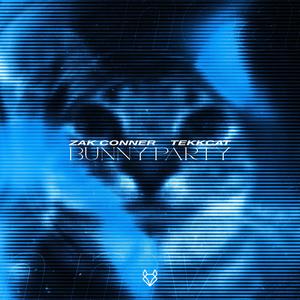 Bunny Party (HardTekk Slowed)