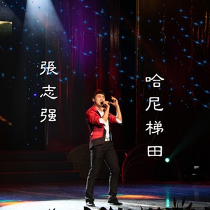 哈尼梯田