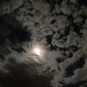 Midnight (feat. The Captain & Ashley Jade) (Explicit)