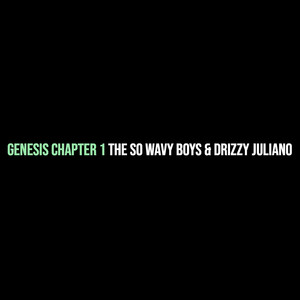 Genesis Chapter 1 (Explicit)