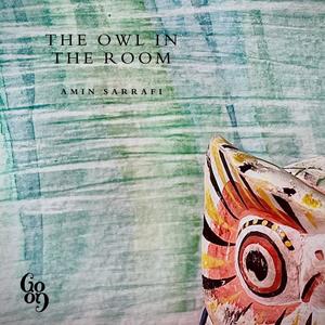 The Owl In The Room