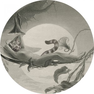 Everybody Sing (Version Mind Fair)