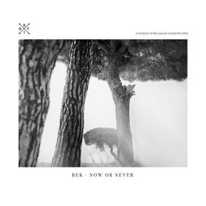 Now Or Never (Bek’s Out Of Time Mix)