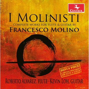 Duo in D Major, Op. 16 No. 1 (Version for Flute & Guitar) - Duo in D Major, Op. 16 No. 1 (Version for Flute & Guitar): II. Allegro non troppo