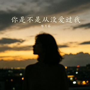 你是不是从没爱过我 (伴奏)